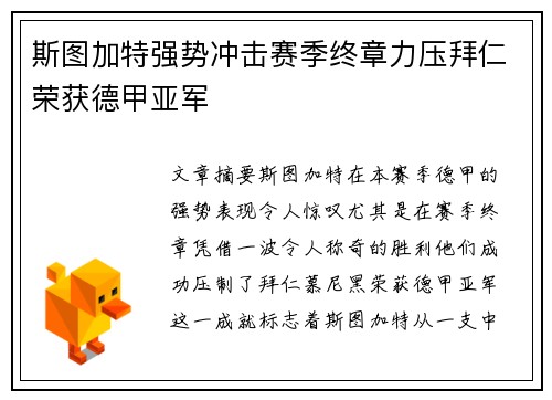 斯图加特强势冲击赛季终章力压拜仁荣获德甲亚军